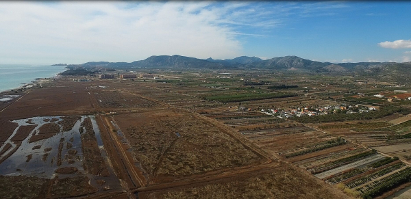 Drones