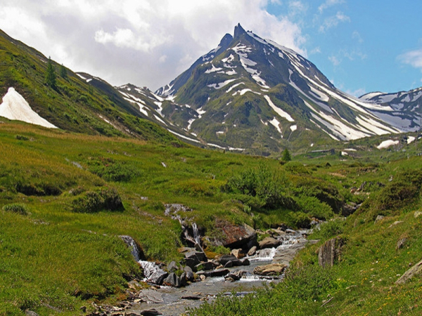 Swiss
